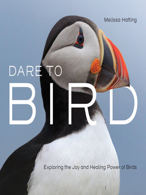 cover image of Dare to Bird
